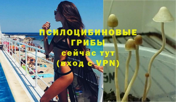 мдма Богородск