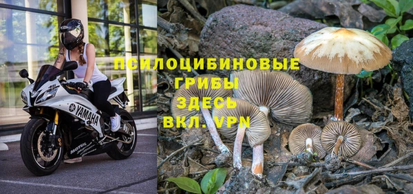 мдма Богородск