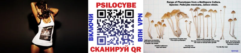 Псилоцибиновые грибы ЛСД магазин продажи наркотиков Гремячинск